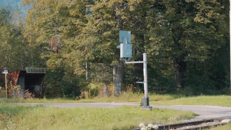 pan down from trees to railway track