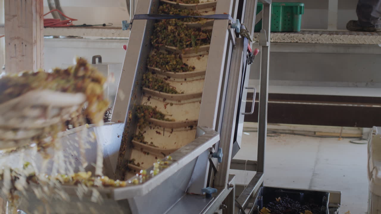 Working equipment of a small family winery