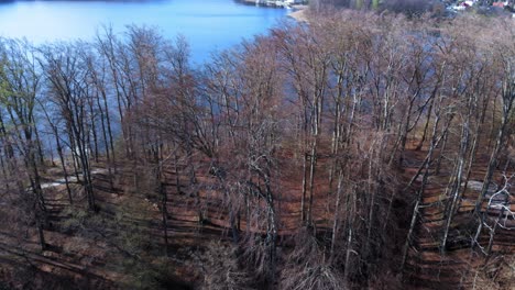 toma del lago y el bosque otomin