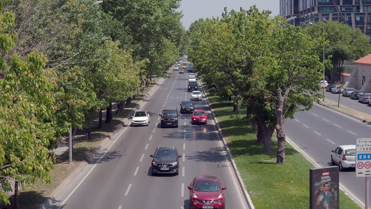 교통과 나무가 있는 도시 거리