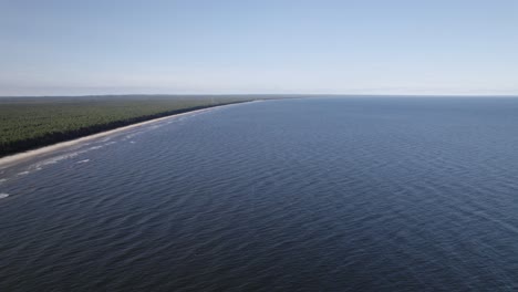 baltic sea ocean water ripples crash along forested sandy shoreline, panoramic aerial