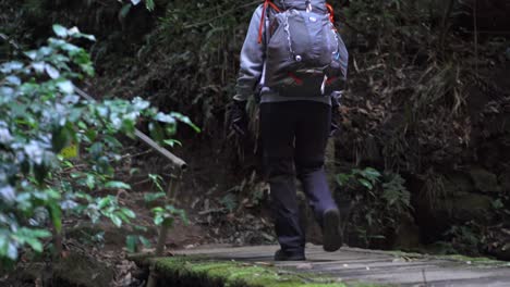 Indigenous-Australian-woman-crossing-an-old-wooden-foot-bridge-while-backpacking-through-the-Australian-bush