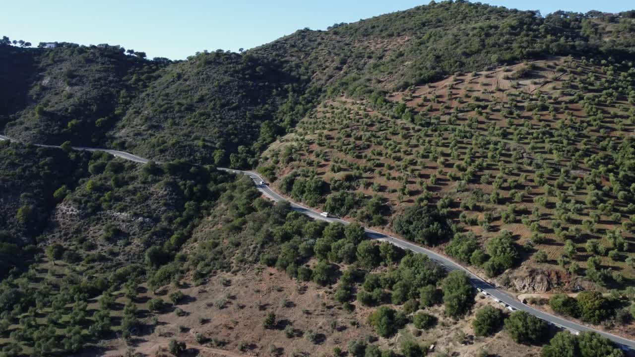 antena: los coches circulan por la carretera de la ladera debajo de la arboleda en una pendiente árida