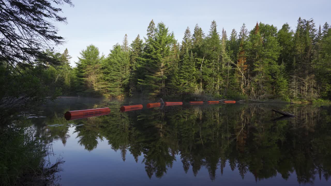 잔잔한 호수, 아름다운 목적지가 있는 아름다운 숲의 자연 풍경
