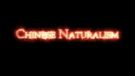 chinese naturalism written with fire. loop