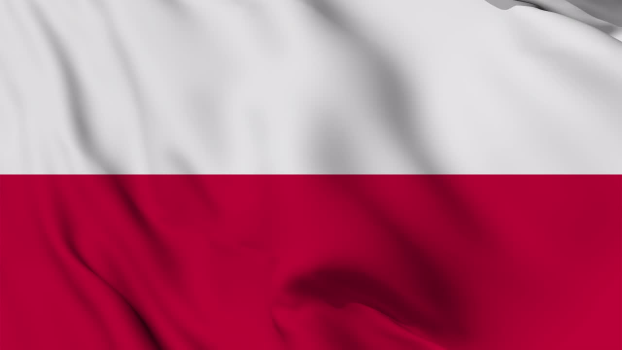 폴란드의 발이 끊임없이 흔들리는 애니메이션