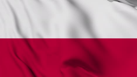 poland flag seamless waving animation