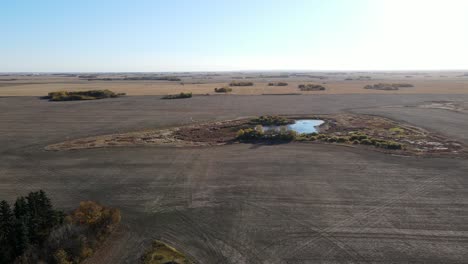 amazing 4k cinematic drone aerial video of a flock of white birds flying free on the horizon above a pond on farmland