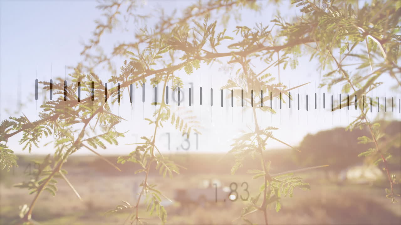 Sunlit landscape with foliage and measurement scale overlaying animation scene