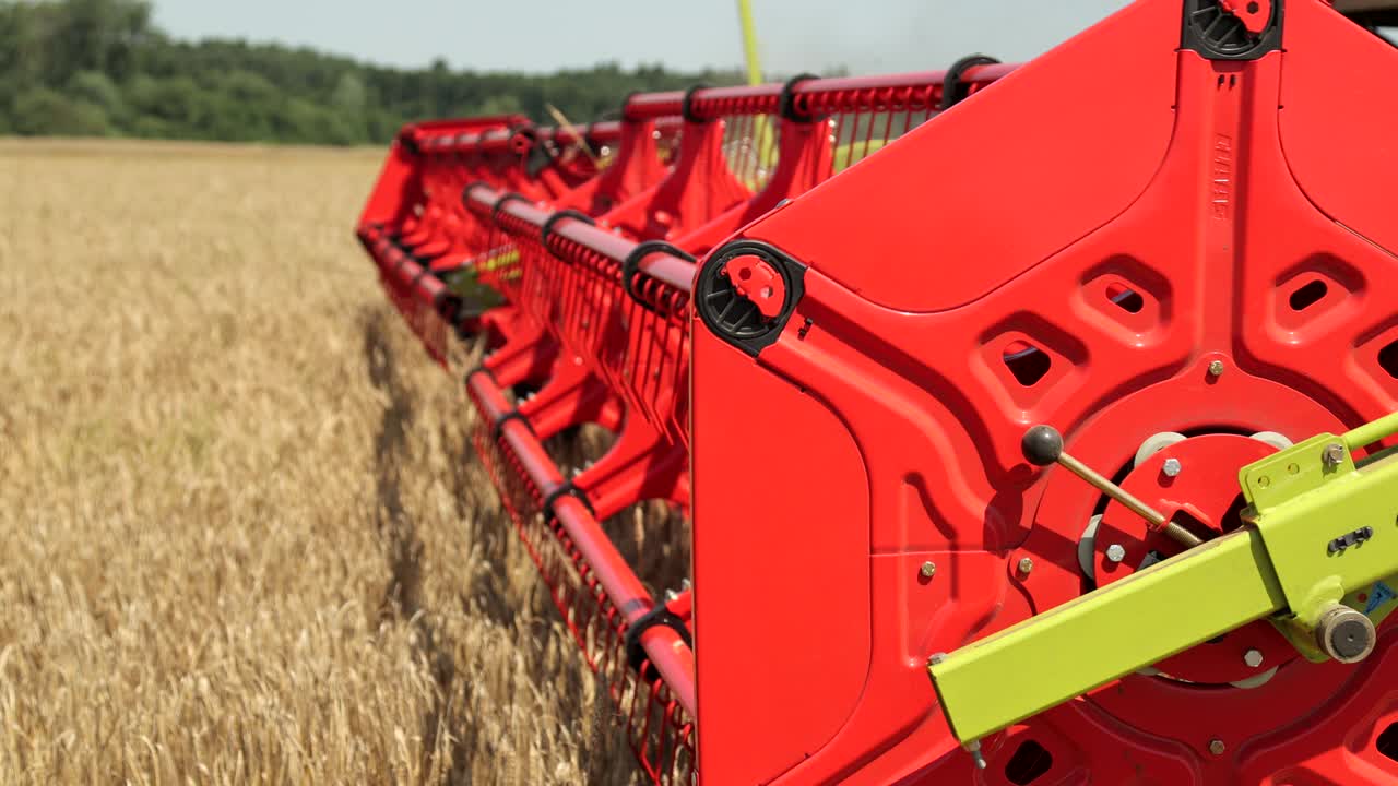 combinador. cosechador. agment. moderno combinador cosechando trigo en el campo. prores cercanos, movimiento lento