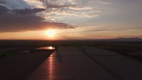Setting-sun-drops-across-horizon-and-golden-light-spreads-across-neat-rows-agricultural-fields,-reflecting,-aerial-dolly-tilt-up