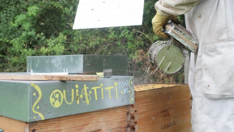 Un-Apicultor-Que-Mantiene-Una-Colmena,-Abejas-Melíferas-Enjambrando-Nidos-De-Caja-De-Madera