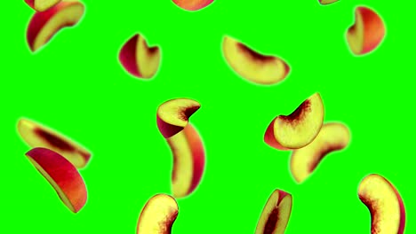lobules of peach
