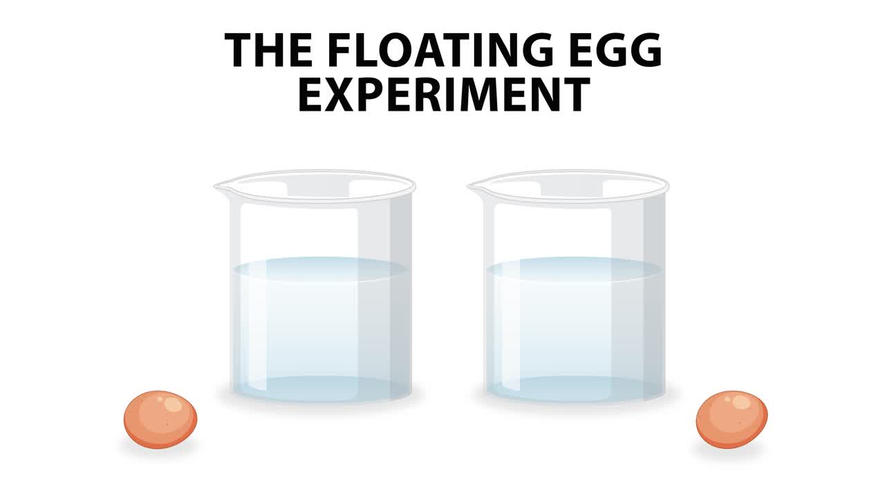 신선한 물과 소금 물을 가진 계란 부동성 실험
