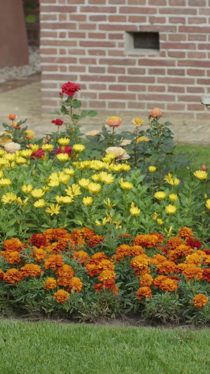 Kleurrijke bloembedden, standbeelden en bakstenen architectuur in een levendige lentetuin.