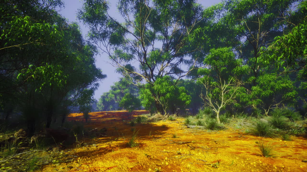 Lush green forest with colorful ground cover in bright daylight