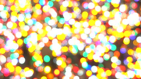 christmas bokeh
