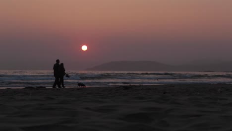 couple walking in silhouette with dog on beachfront during golden sunset
