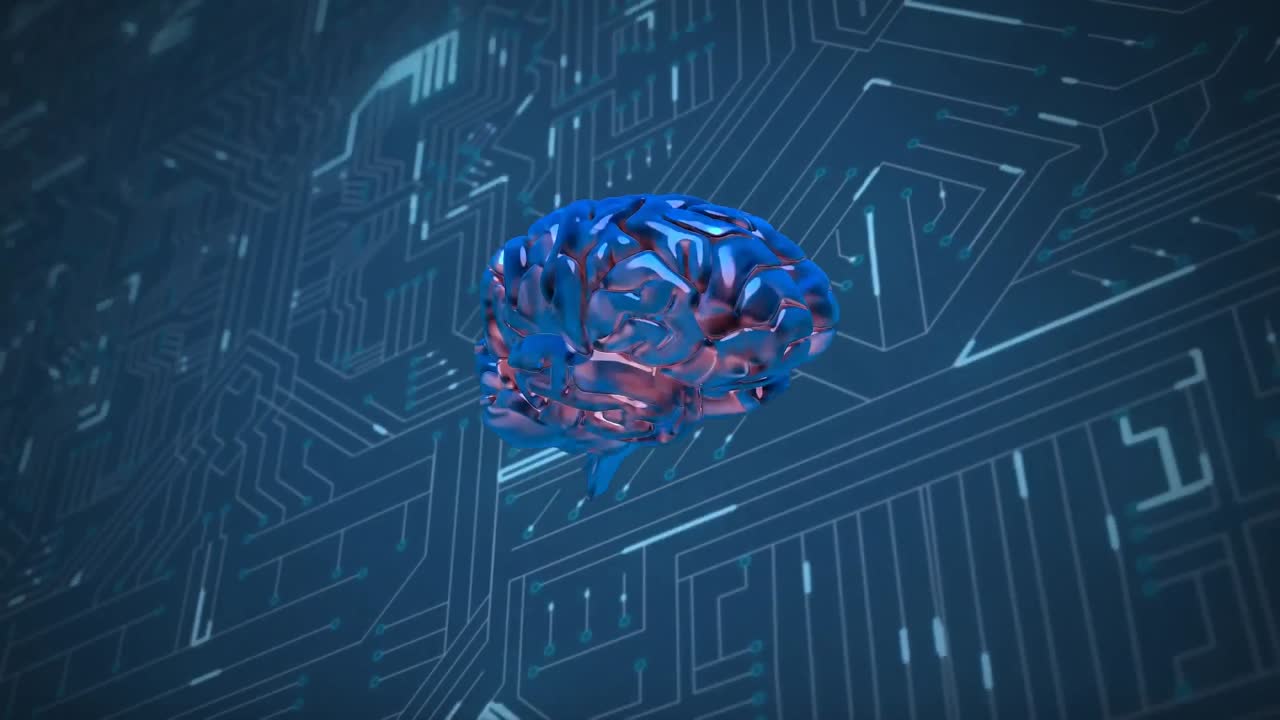 Brain and digital circuit