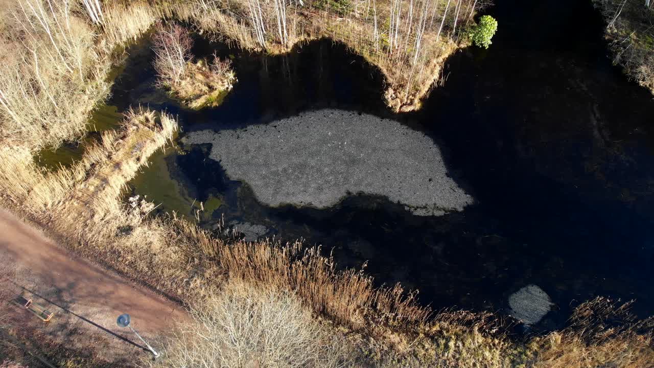 estanque en el parque con agua congelada en un soleado día de invierno