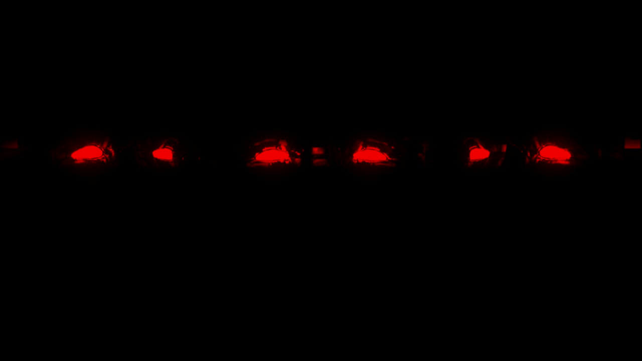 사이버 얼굴 vj 루프