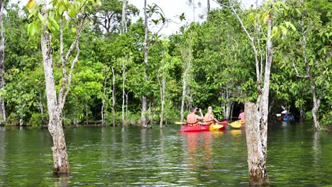 kayakers navigate lush, serene krabi waterways