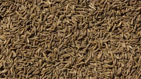 caraway seeds rotating full frame seamless looping