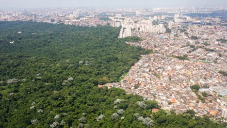 vista aérea sobre el paisaje urbano de sao paulo, edificios que invaden el bosque