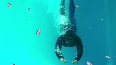 animation of balls with japan over swimmer swimming into pool