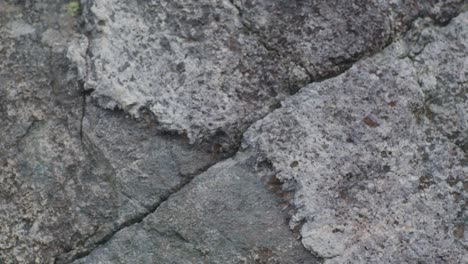 Close-up-shot-of-stone-and-rock-texture