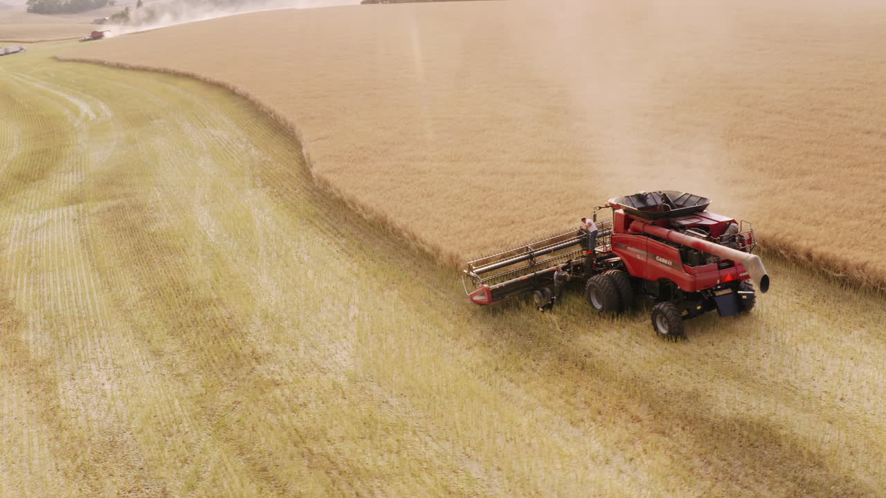 Farmers standing at red combine harvester in golden grain field, aerial