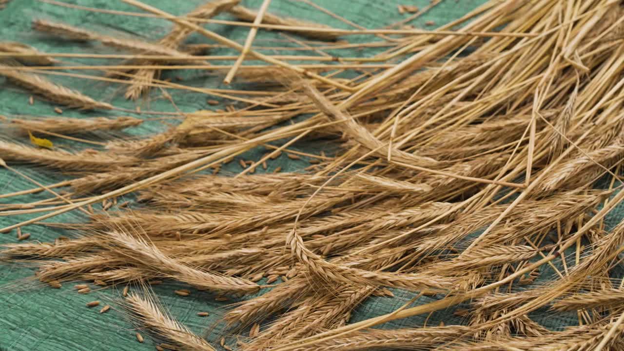 primer plano en cámara lenta de la trilla del siglo xix