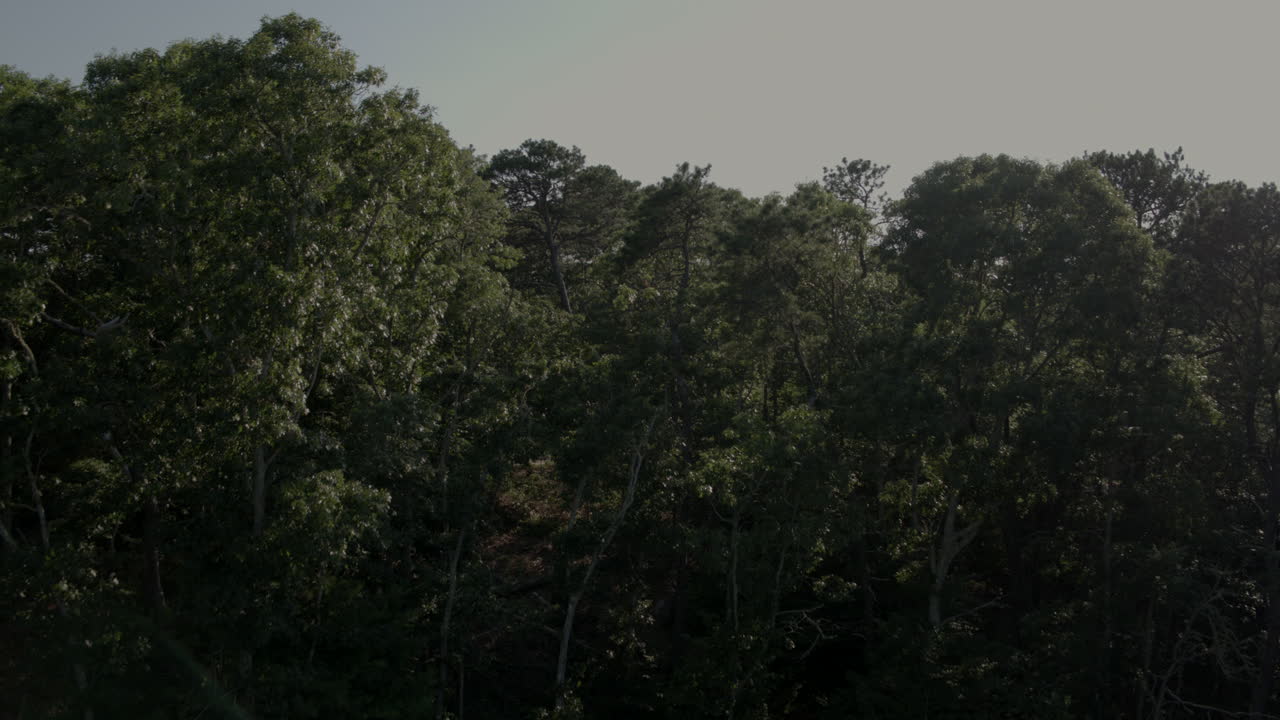 연못과 수평선을 드러내기 위해 케이프 대구의 옥상 위로 공중으로 밀고 올라갑니다.