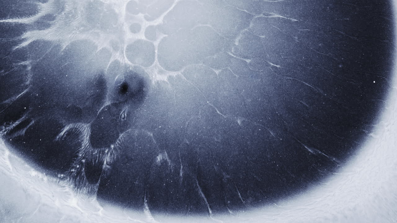 Dark blue and white alcoholic ink forming dreamy abstract shapes in macro close-up