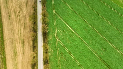 Vista-Aérea-De-Pájaros-Del-Automóvil-Conduciendo-Por-La-Carretera-Entre-Campos-Agrícolas-Verdes