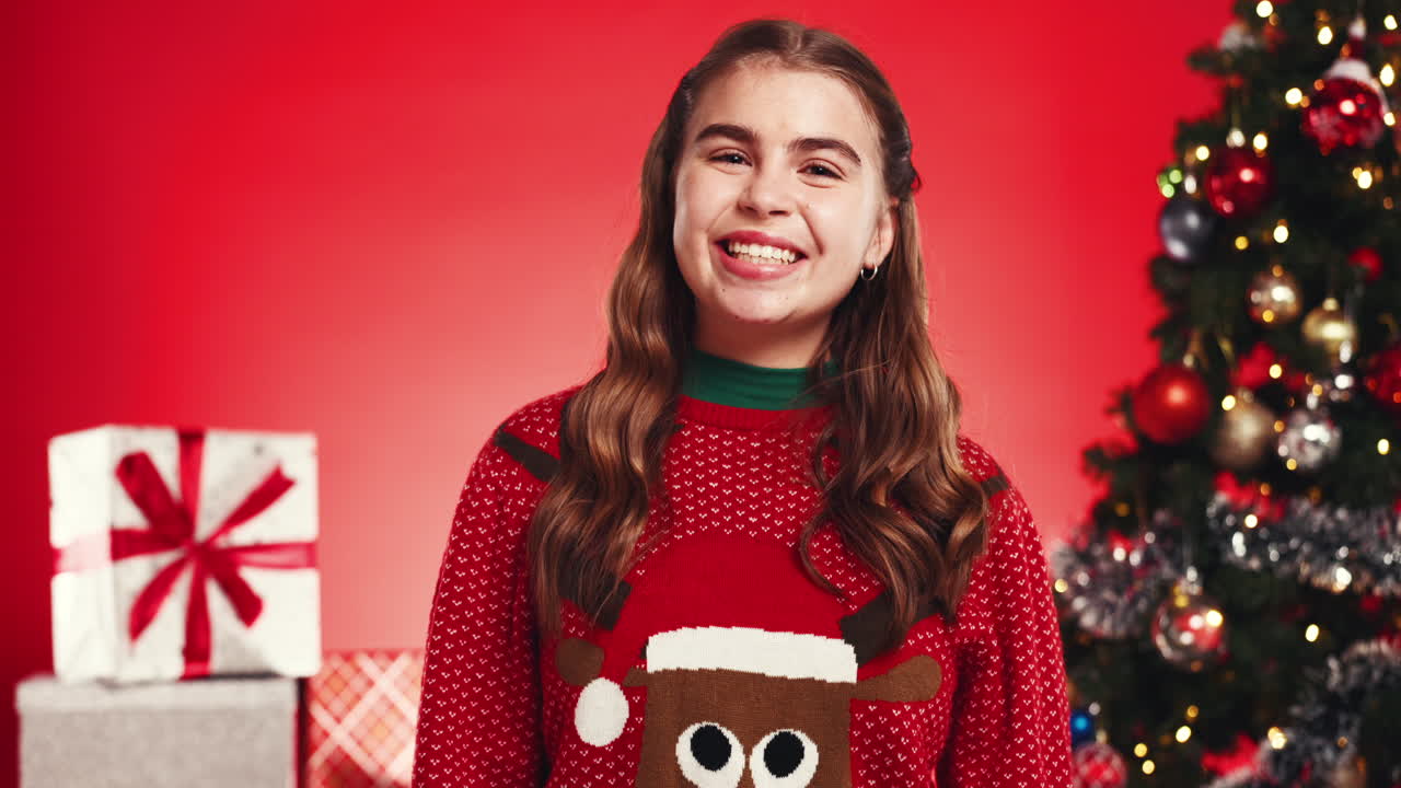 Festive Christmas portrait