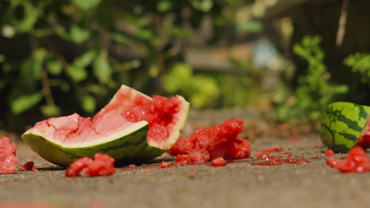 Watermelon Dropped to Hard Concrete Floor and Smashed to Pieces in Slow Motion. High Detail Fruit Destruction