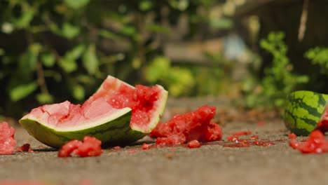 watermelon dropped to hard concrete floor and smashed to pieces in slow motion. high detail fruit destruction