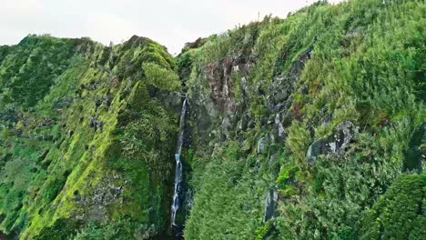 una ladera de montaña verde exuberante con cascadas rodeada de densa vegetación