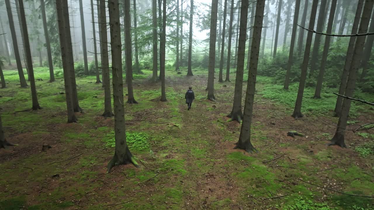 одинокий человек гуляет в лесу в туманный день