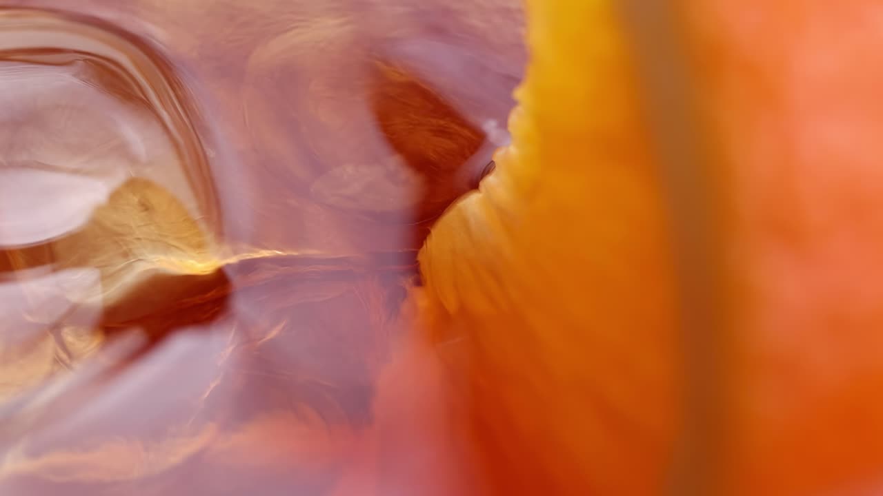A detailed view of an orange slice submerged in liquid, highlighting its vibrant color and texture.