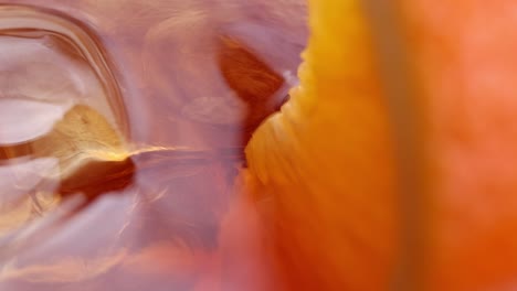 a detailed view of an orange slice submerged in liquid, highlighting its vibrant color and texture.