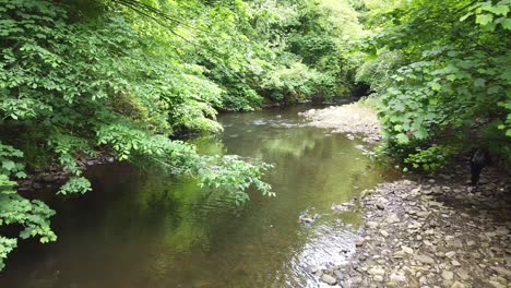 Waldflussszene,-Gefilmt-Im-Derbishire-Peak-District,-Drohnenaufnahmen-Mit-Vorwärtsbewegung-Und-Wanderer-Auf-Der-Rechten-Seite