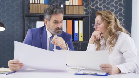 male and female employee developing ideas and comparing two projects.