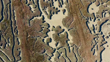 Luftvogelschutzgebiet,-Naturschutzgebiet,-Ile-de-Ré,-Frankreich