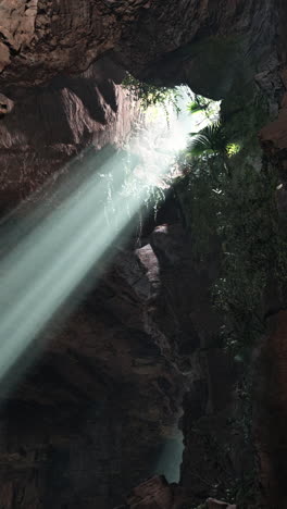 sunbeams illuminating a lush cave