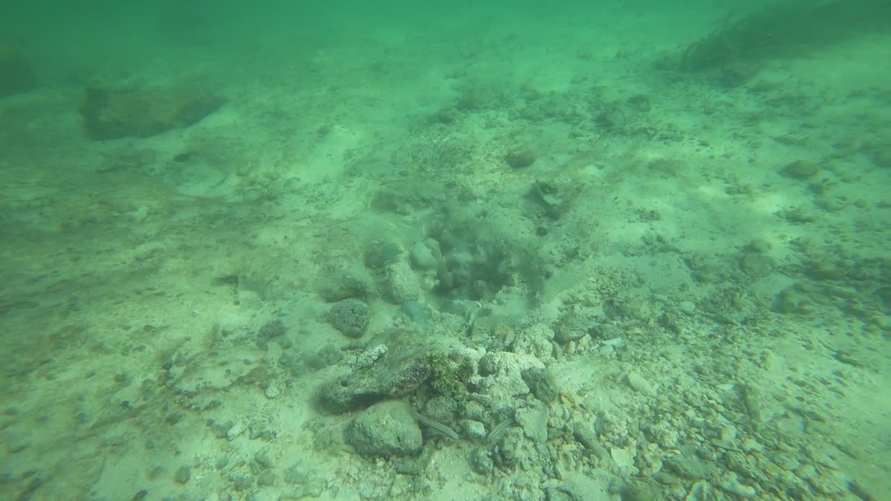 Udsigten til havbunden nær stranden i Tulum i Mexico.