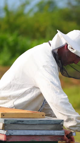 Beekeeper on the apiary. Apiarist wearing vyshyvanka shirt and protective hat examining bees in the hives on green nature background. Vertical video