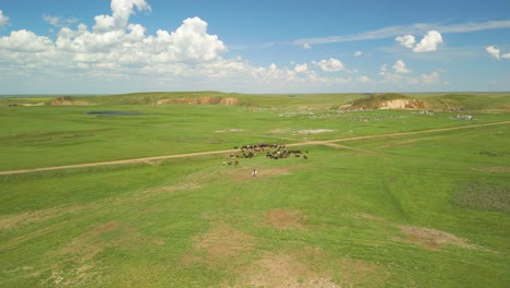 Herd-Of-Horses-On-Vast-Grassland---Aerial-Panoramic