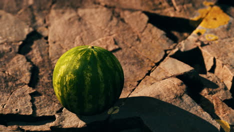 watermelon fruit berry on rocky stones